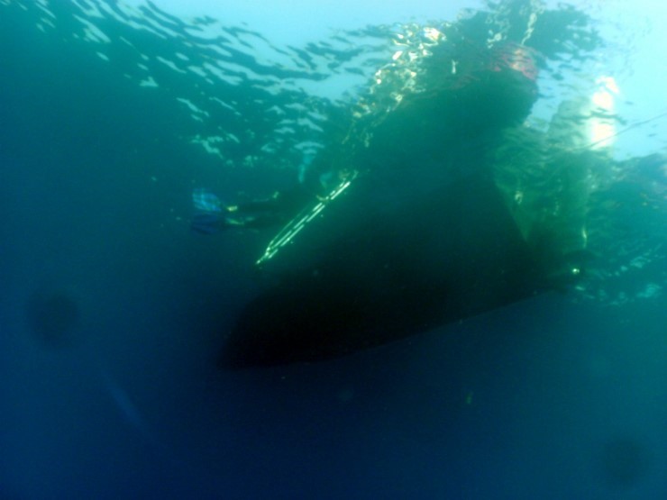 펀다이빙 - 강원도 고성 LF문암리조트 - 낙산대기