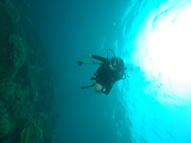 펀다이빙 - 준다이브 - 페스카도르(pescador) 서->남