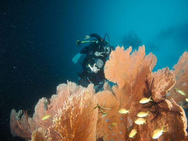 펀다이빙 - 준다이브 - 페스카도르(pescador) 서->남