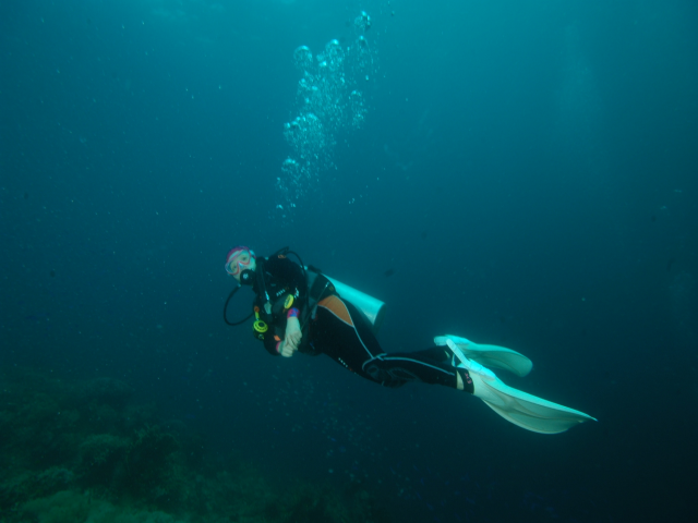 펀다이빙 - 준다이브 - 페스카도르(pescador) 서->남