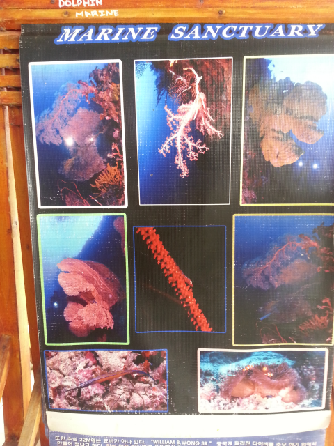 펀다이빙 - 준다이브 - 페스카도르(pescador) 서->남