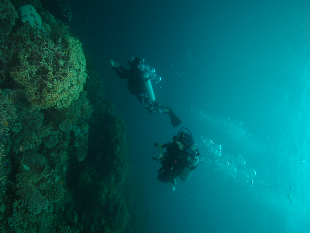 펀다이빙 - 준다이브 - 페스카도르(pescador) 서->남