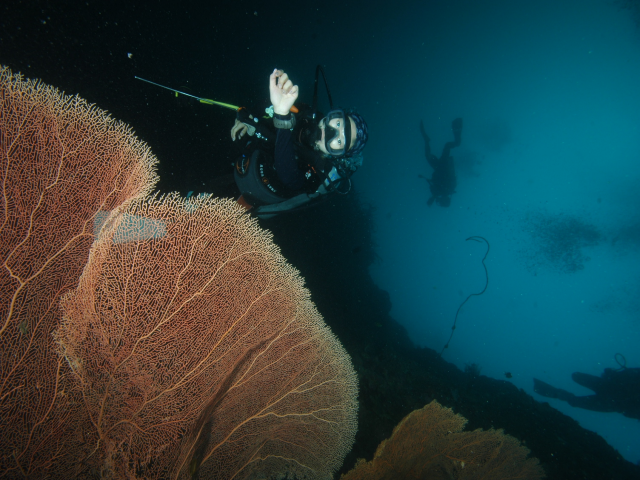 펀다이빙 - 준다이브 - 페스카도르(pescador) 서->남