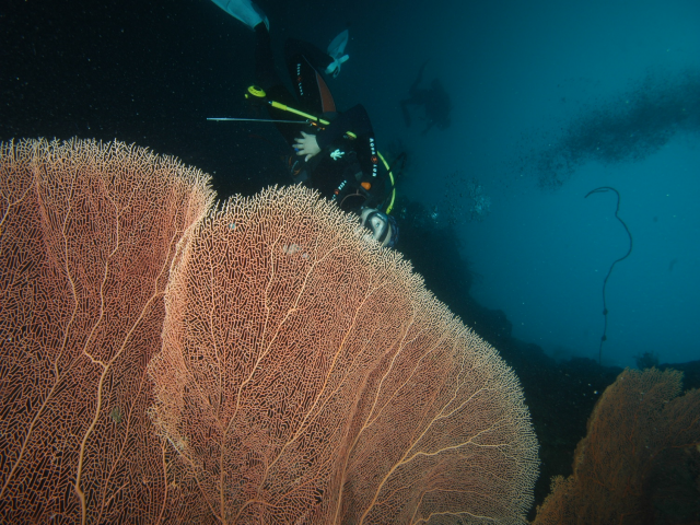 펀다이빙 - 준다이브 - 페스카도르(pescador) 서->남