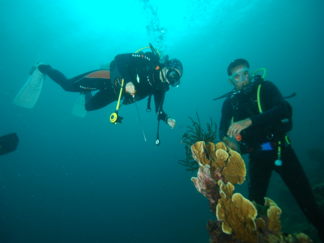 펀다이빙 - 준다이브 - 페스카도르(pescador) 서->남