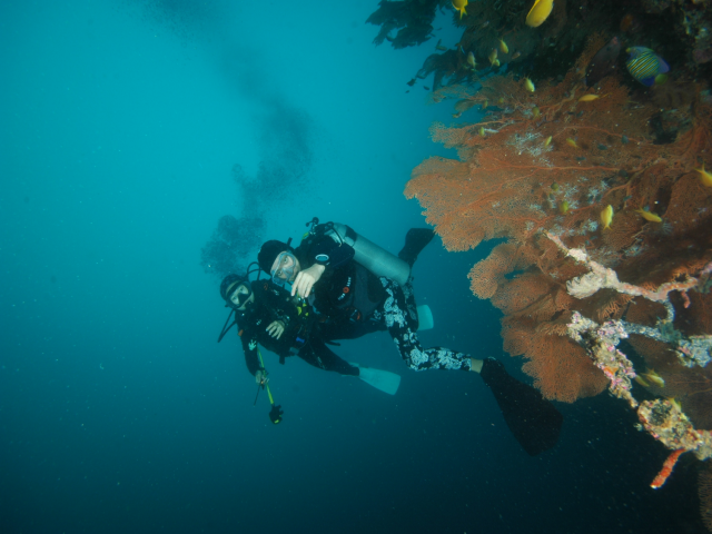 펀다이빙 - 준다이브 - 페스카도르(pescador) 서->남