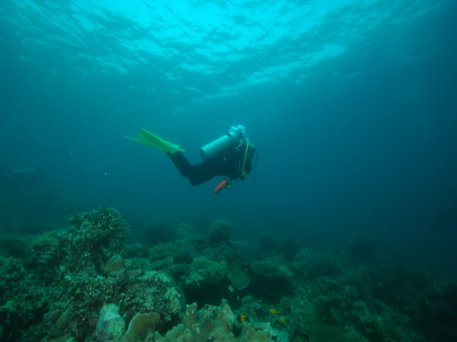 펀다이빙 - 준다이브 - 페스카도르(pescador) 서->남