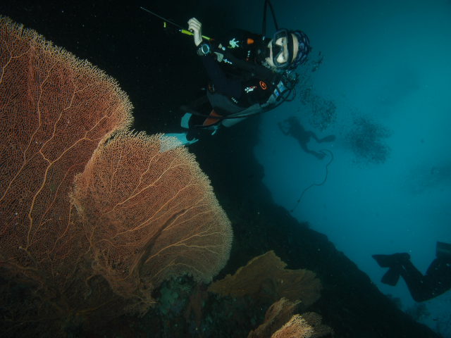 펀다이빙 - 준다이브 - 페스카도르(pescador) 서->남
