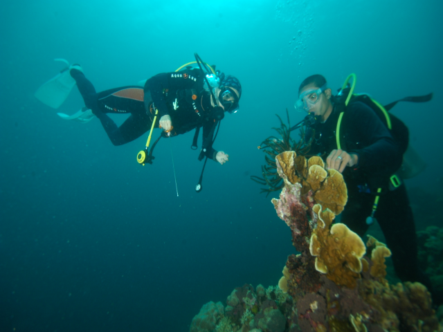 펀다이빙 - 준다이브 - 페스카도르(pescador) 서->남