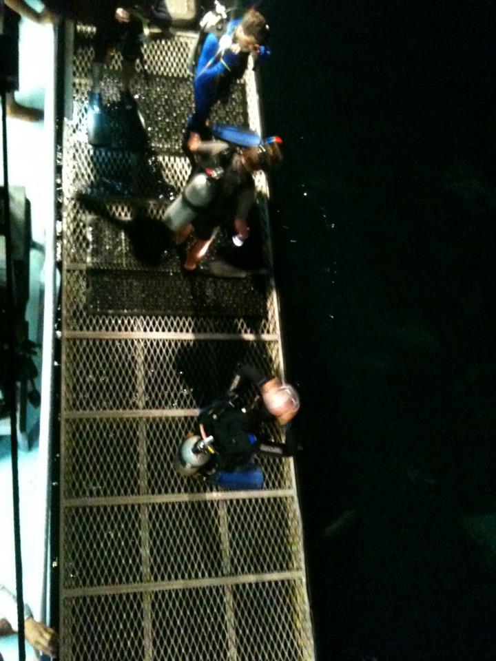 Practicing those skills below and Swimming - G.B.R in Cairns, Australia  - Play Ground, Norman Reef