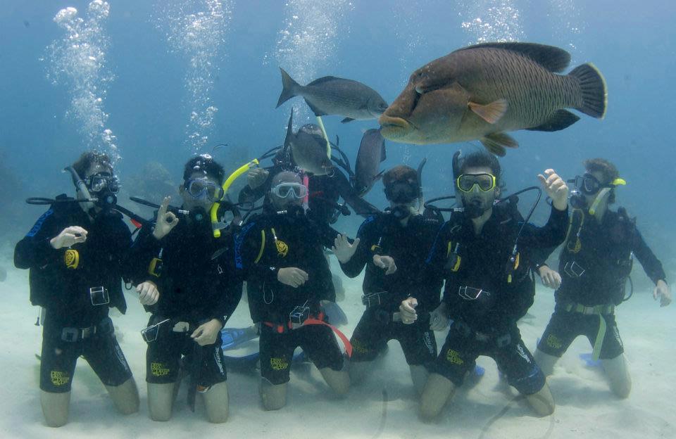 Practicing those skills below and Swimming - G.B.R in Cairns, Australia  - Plate Tops, Norman Reef