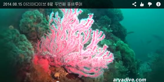 강원도 고성 문암다이브리조트 - 마이산