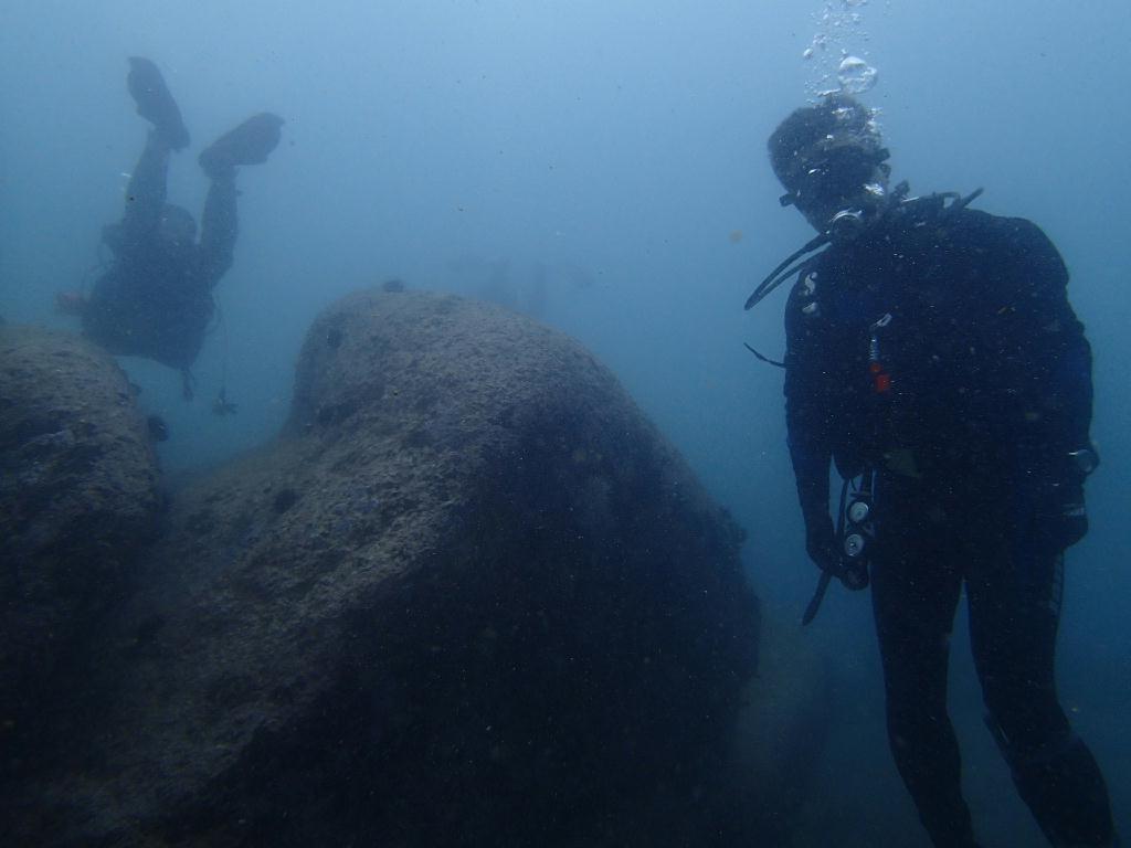 Fun Diving - 강원도 고성 청간정 리조트 - 노랑대
