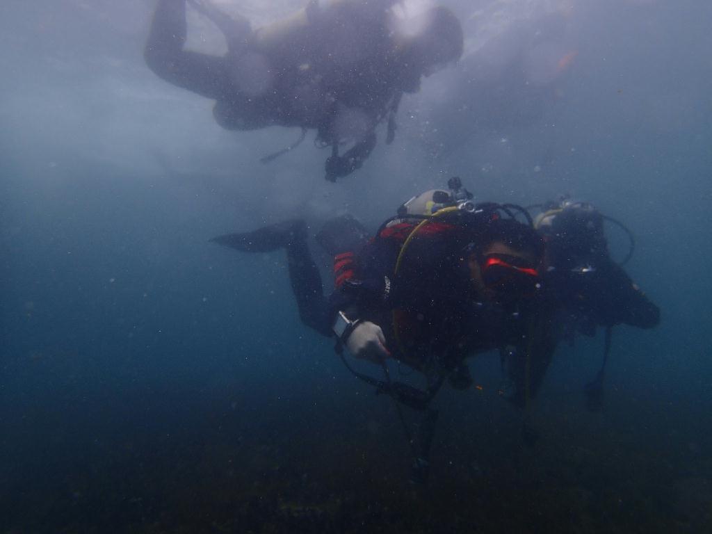 Fun Diving - 강원도 고성 청간정 리조트 - 노랑대