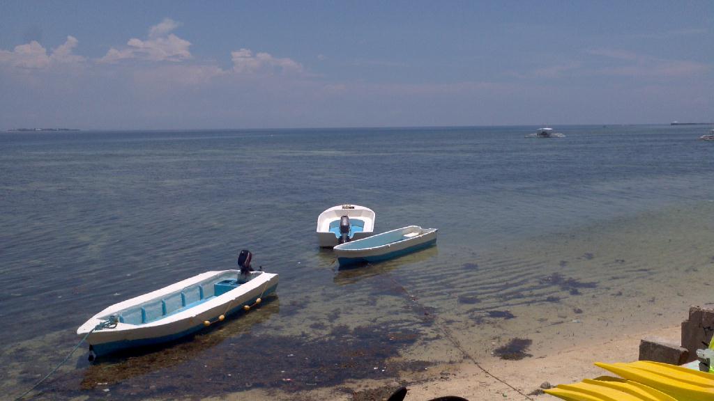 주변 감상 - cebu - 주변 house reef