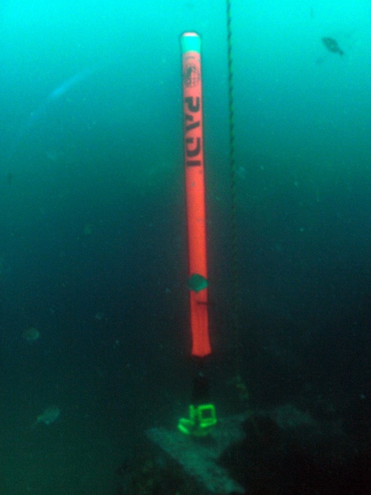 펀다이빙 - 경포다이브리조트 - 꽃동산