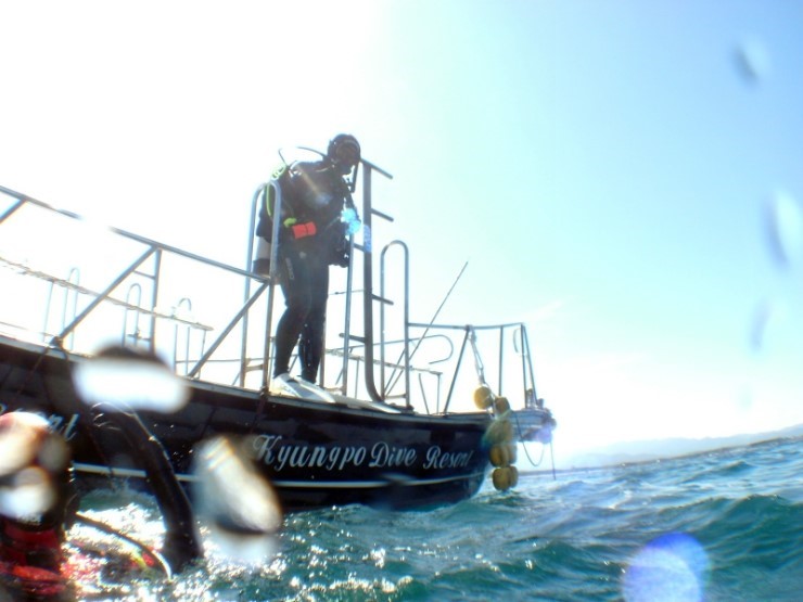 펀다이빙 - 경포다이브리조트 - 꽃동산