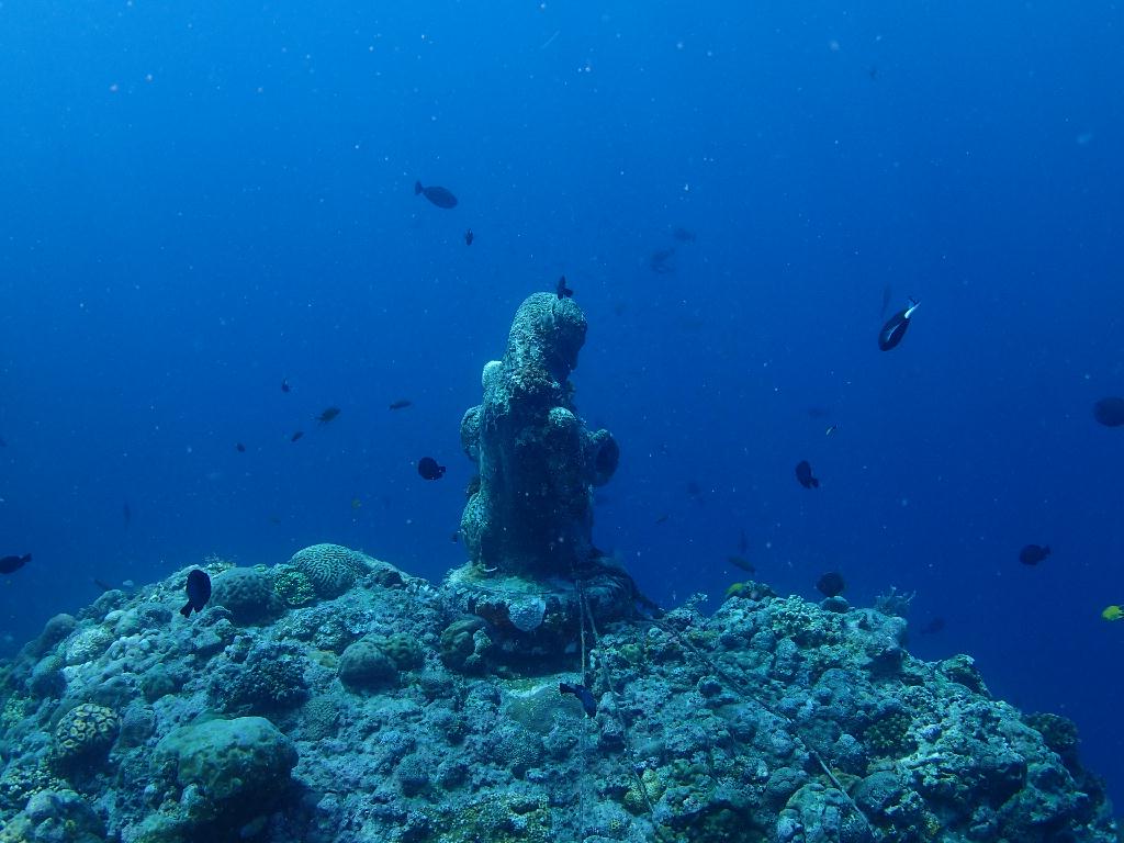 수중촬영 - 필리핀 날루수완섬 - 마린생츄어리