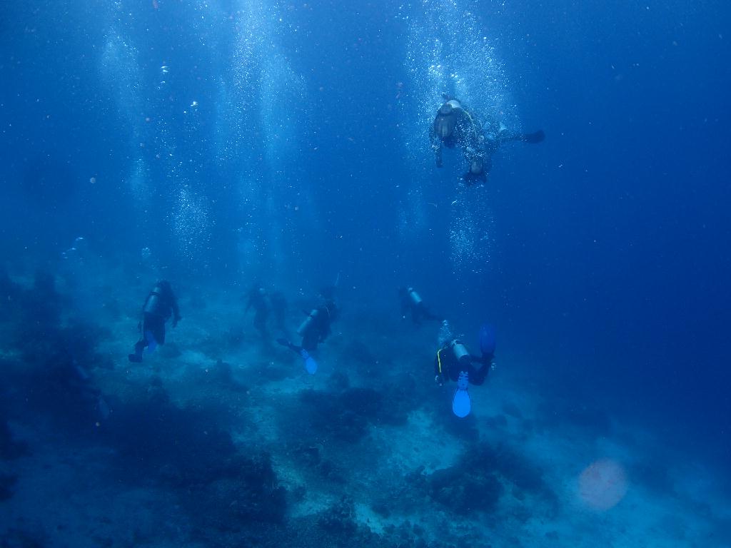수중촬영 - 필리핀 날루수완섬 - 마린생츄어리