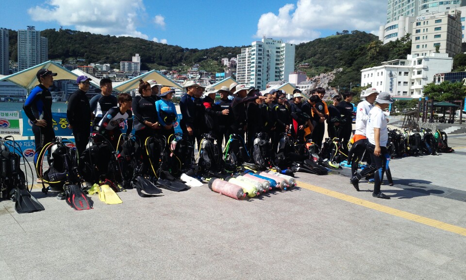 수중정화 - 송도해수욕장 - 수중정화활동