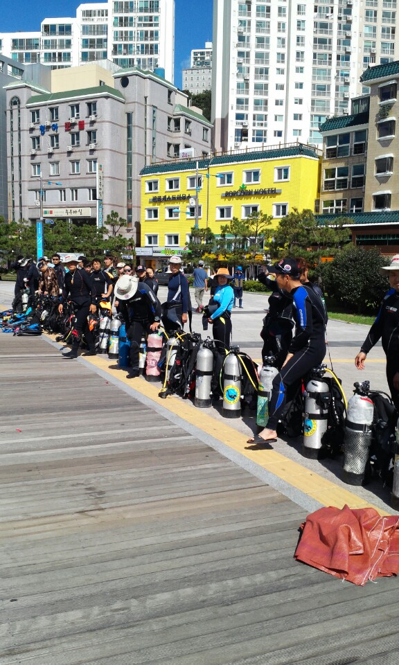 수중정화 - 송도해수욕장 - 수중정화활동