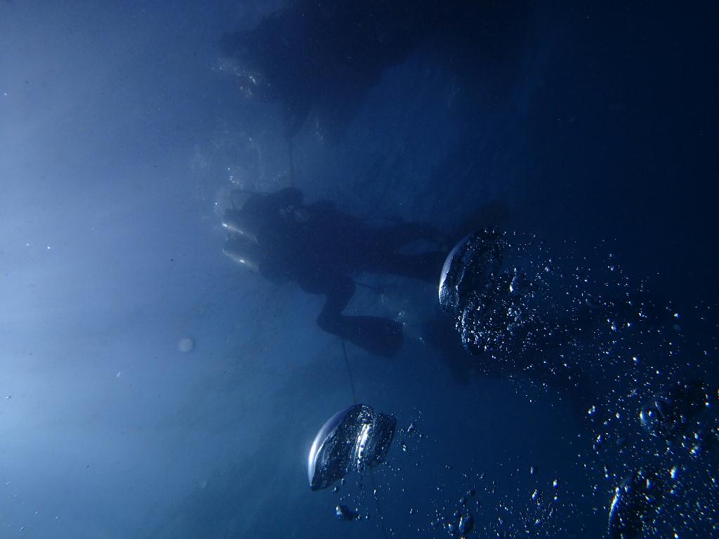 Fun Diving - 강원도 고성 천학정 리조트 - 무명 (오픈워터 교육 포인트)