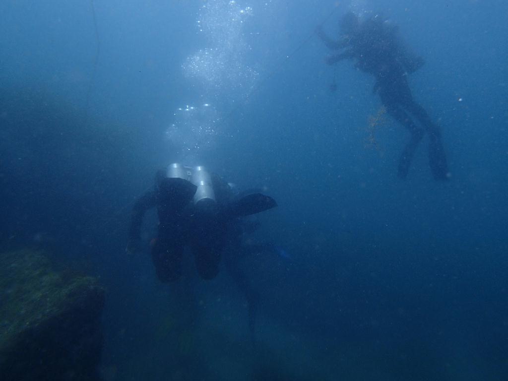 Fun Diving - 강원도 고성 천학정 리조트 - 무명 (오픈워터 교육 포인트)