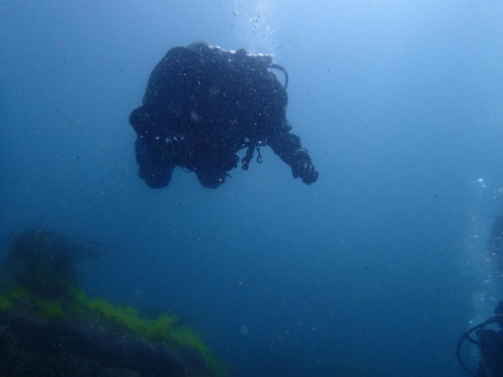 Fun Diving - 강원도 고성 천학정 리조트 - 무명 (오픈워터 교육 포인트)