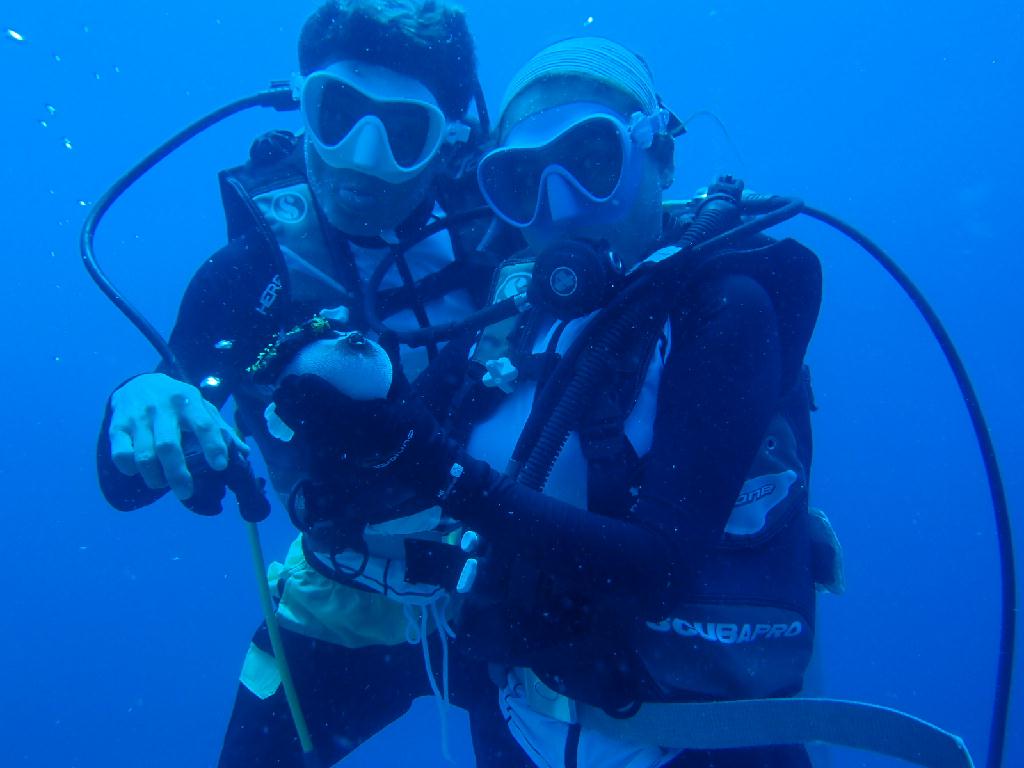 조류다이빙  굉장히 아름다운곳 - 보홀 발리카삭 - 루디스 락