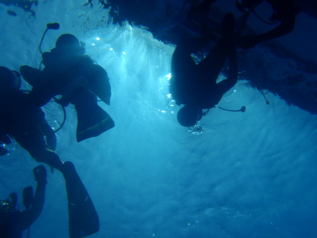 Fun dive - SM Resort Anilao - phillippines - Cathedal marine