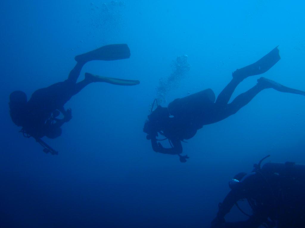 deep &  - SM Resort Anilao - phillippines - Dive&Trek