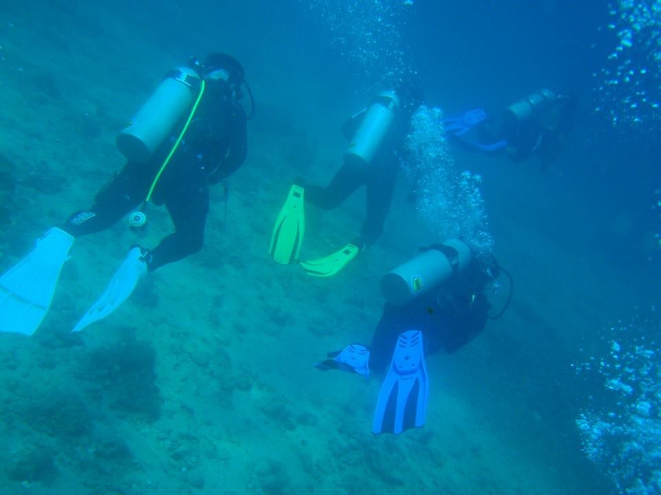 Fun dive - SM Resort Anilao - phillippines - Ligpo cave