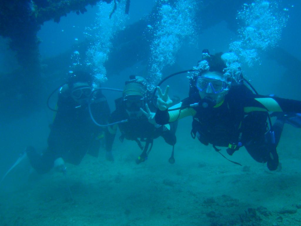 deep &  - SM Resort Anilao - phillippines - Dive&Trek
