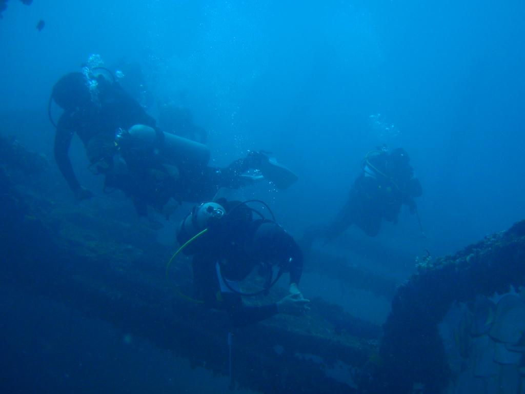 deep &  - SM Resort Anilao - phillippines - Dive&Trek