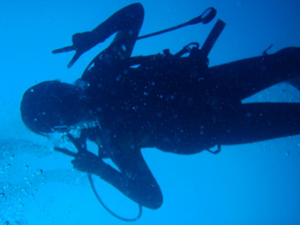 Fun dive - SM Resort Anilao - phillippines - Ligpo cave