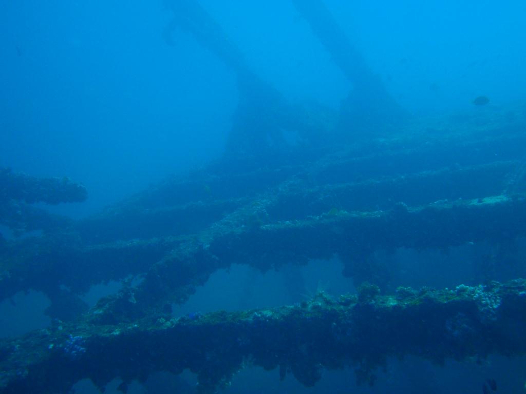 deep &  - SM Resort Anilao - phillippines - Dive&Trek