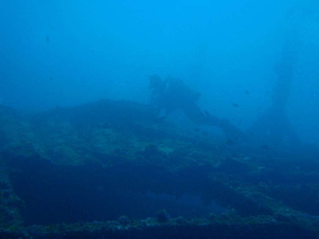 deep &  - SM Resort Anilao - phillippines - Dive&Trek