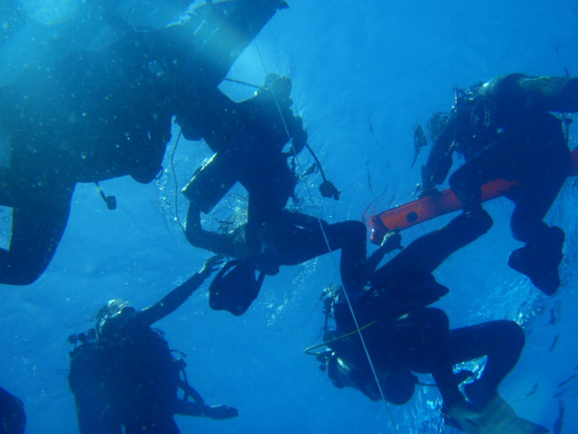 Fun dive - SM Resort Anilao - phillippines - Cathedal marine