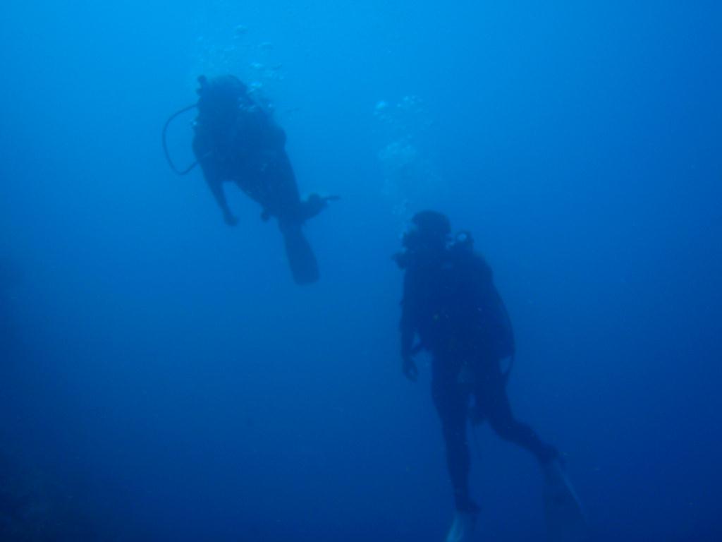 Fun dive - SM Resort Anilao - phillippines - Bthelehem