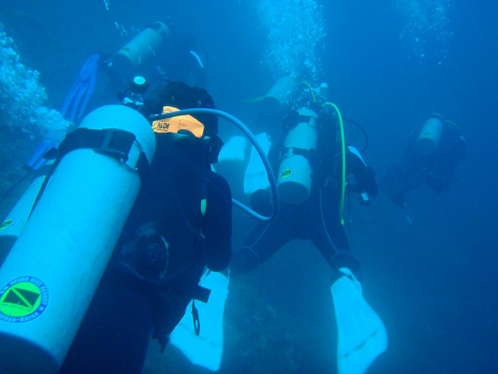 Fun dive - SM Resort Anilao - phillippines - Bthelehem