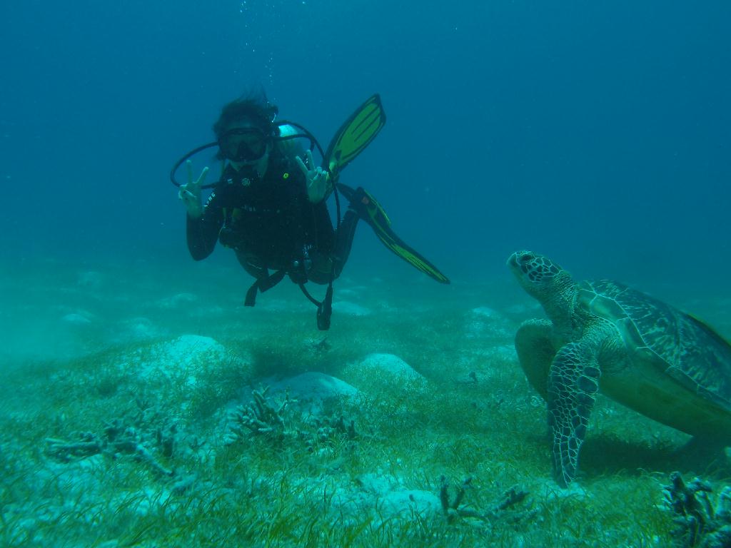 아시는 지인 체험 다이빙 ~~!! - 보홀 필리핀 - 발리카삭