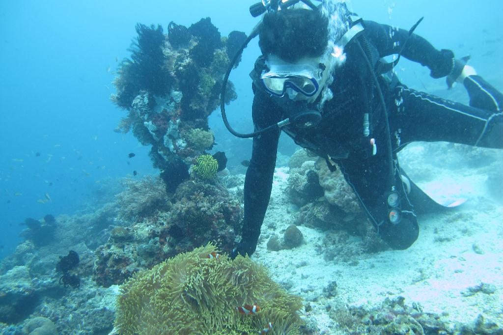 Anilao,PHILIPPINES - Spring Bubble