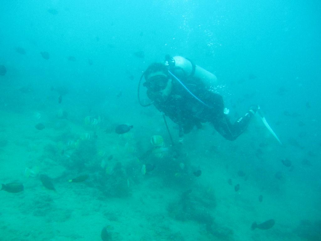 Anilao,PHILIPPINES - Spring Bubble