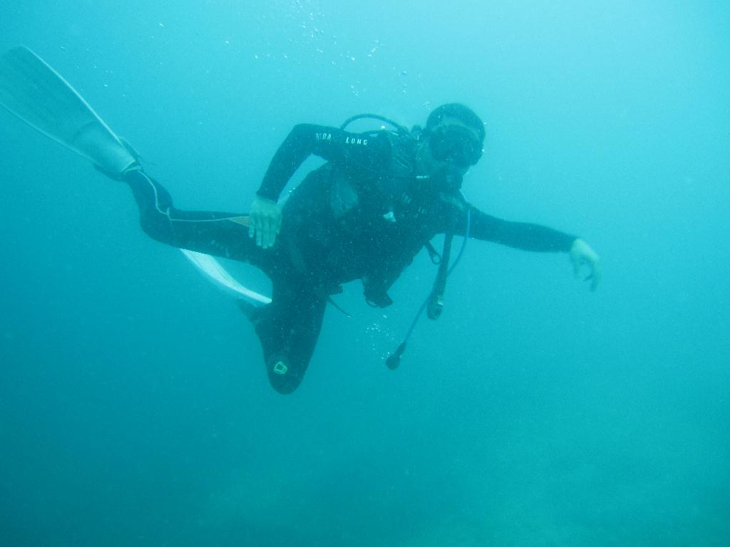 Anilao,PHILIPPINES - Twin Rock