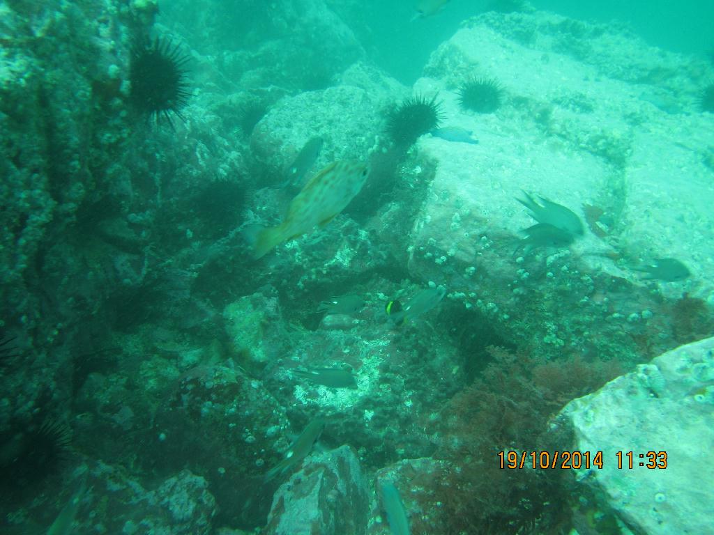 청진  - 청진 왕돌