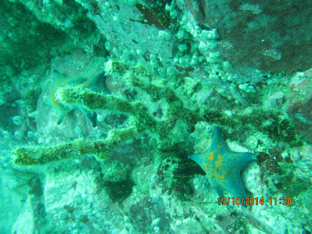 청진  - 청진 왕돌