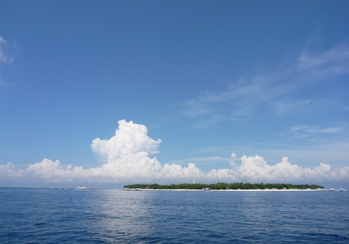 세부 보홀 디퍼다이브 - 발리카삭 블래코랄포레스트