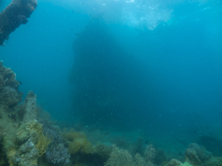 산호 다이빙 - 팔라완 코론(산호다이브 리조트) - 루송 건보트(Lusong Gunboat)