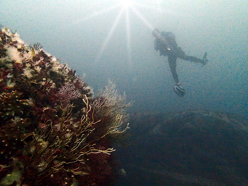 Fun Diving - 강원도 고성 청간정 리조트 (http://cafe.naver.com/gooddive) - 신규 포인트 