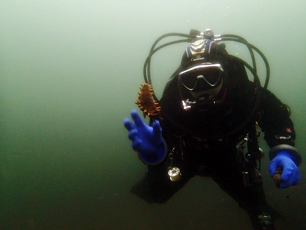 Fun Diving - 강원도 고성 청간정 리조트 (http://cafe.naver.com/gooddive) - 인공어초
